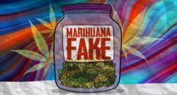 Marihuana sintética, ¿por qué arruinar algo naturalmente bueno?